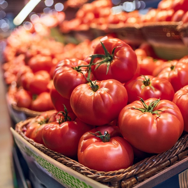 Tomato